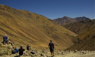 2981289527 9f406e770c b