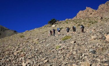 b92610840c4783c53fb57fa63877cdf3